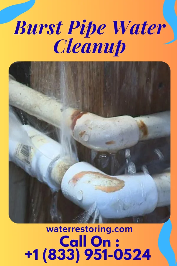 Burst Pipe Water Cleanup in Minorca, LA