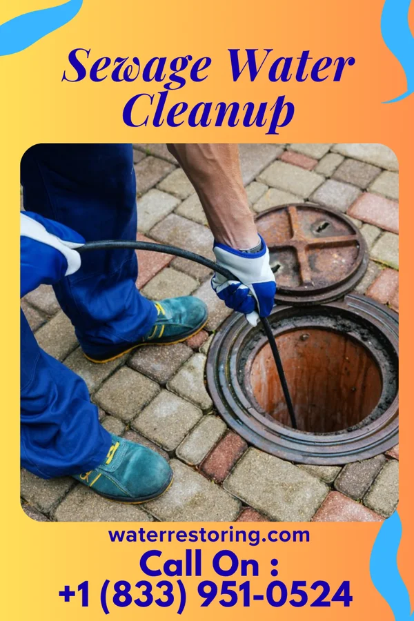 Sewage Water Cleanup in Minorca, LA