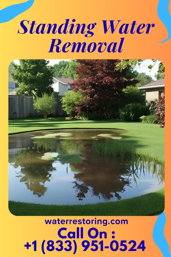 Standing Water Removal in Minorca, LA